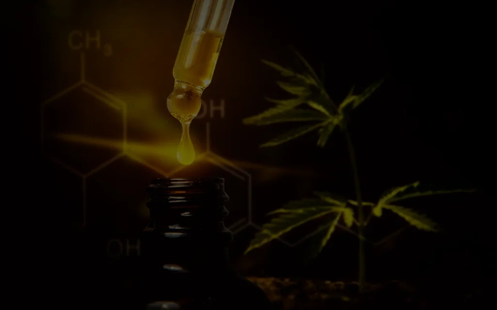 Modes de consommation