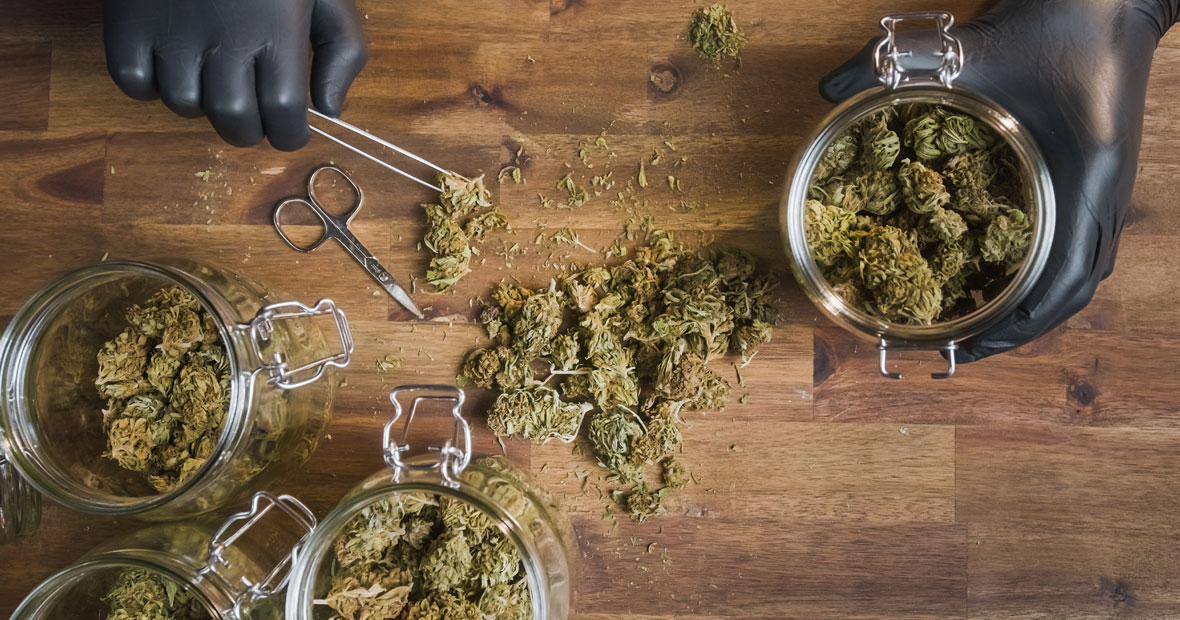 Trim de CBD